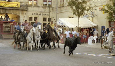 Abrivado à Caveirac