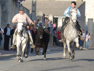 Bandido à Beauvoisin